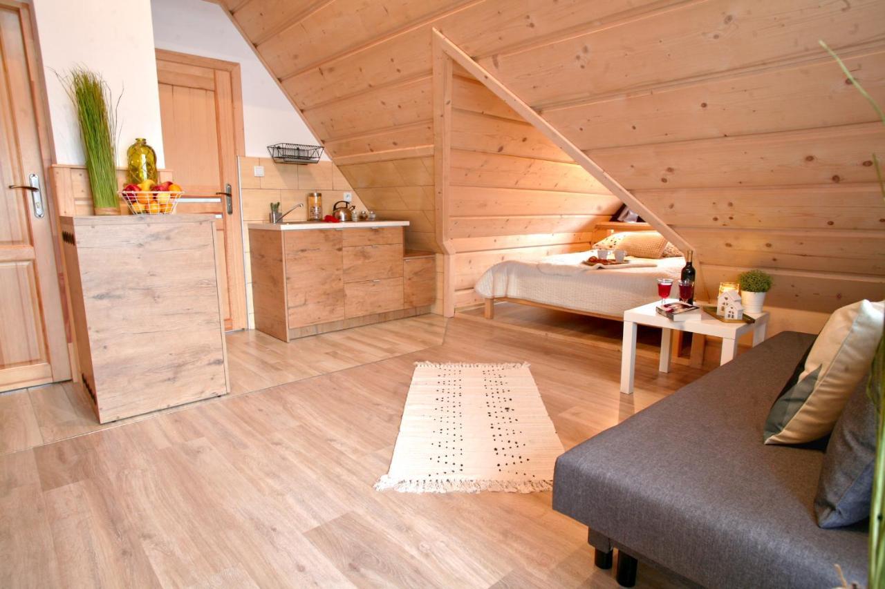 Willa Przy Skoczni Zakopane Esterno foto